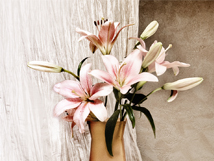 Asiatic Lillies by Alice Gebura