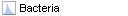 Image:Profile_bacteria.JPG