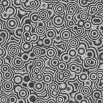 Image:Cells_profile_5.jpg