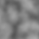 Image:Perlin_profile_1.jpg