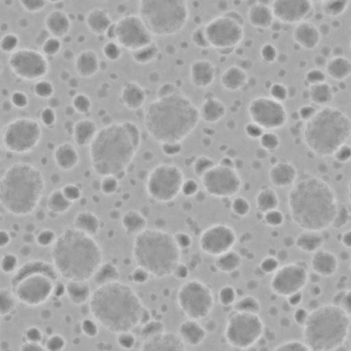 Diffuse Map