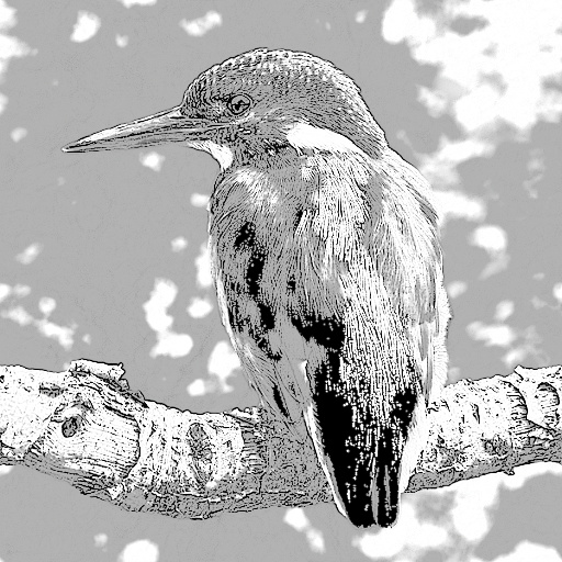 Variation 1