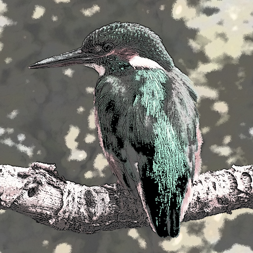 Variation 2