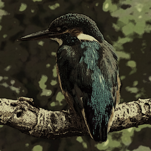Variation 4