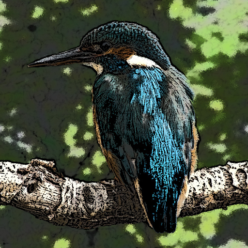 Variation 7