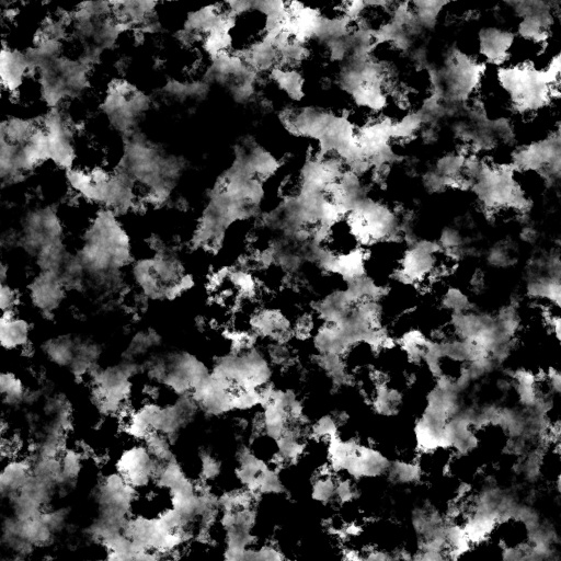 Bump Map