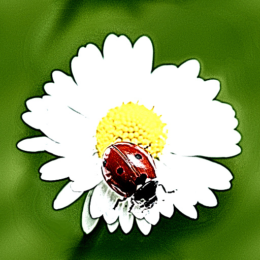 Variation 3