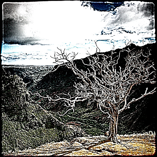 Variation 5