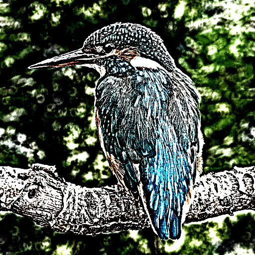 Variation 8