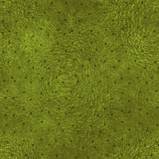 Variation 7