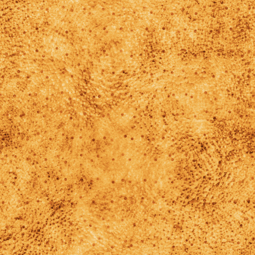 Plucked (Texture)