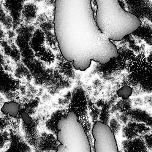 Reflective Occlusion Map