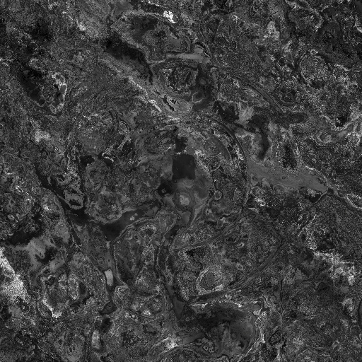 Metallic Map