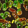 Germatopia