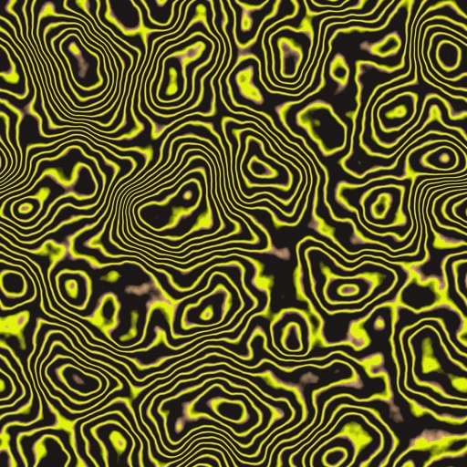 Variation 3