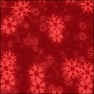Snow Star