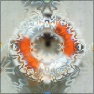 Caleidoscope distortion