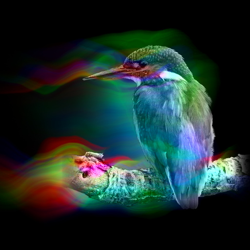 Variation 1
