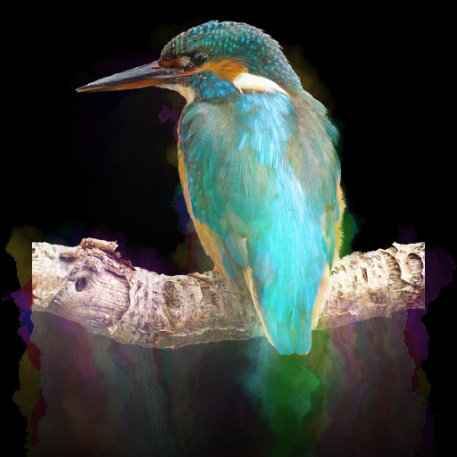 Variation 4