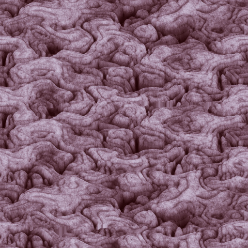 Variation 8