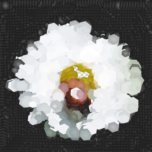 Variation 8