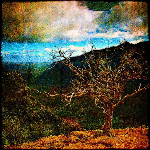 Variation 3