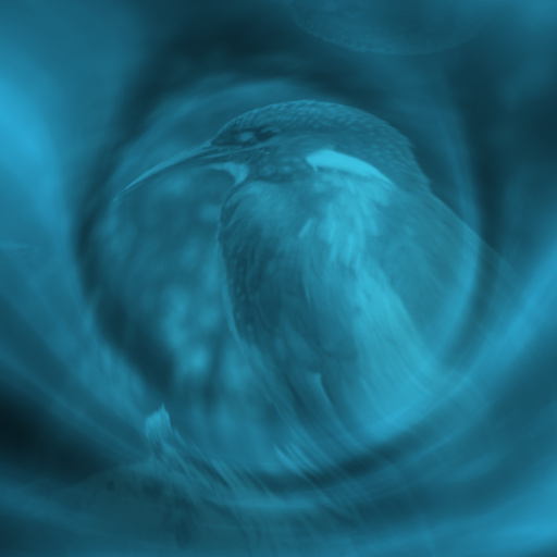 Variation 3