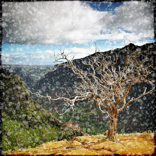 Variation 1