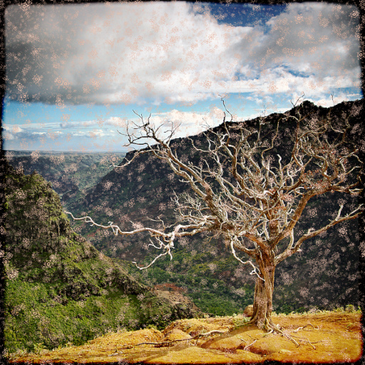 Variation 8