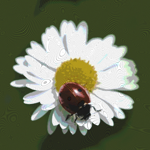 Variation 1