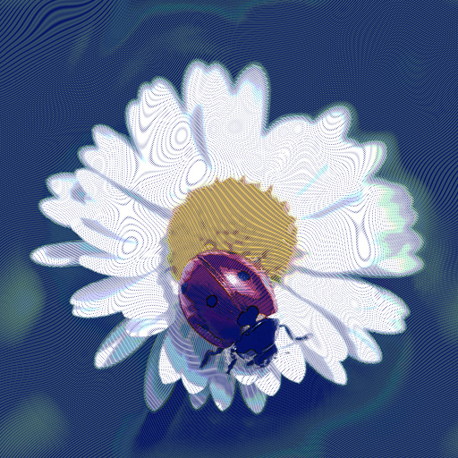 Variation 4