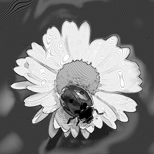 Variation 5