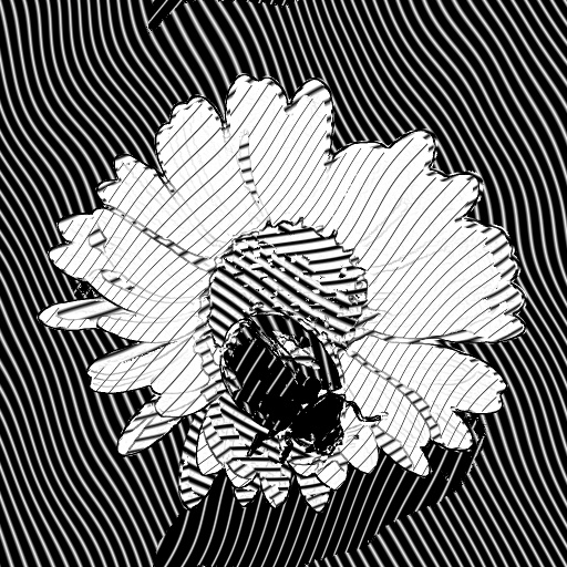 Variation 6