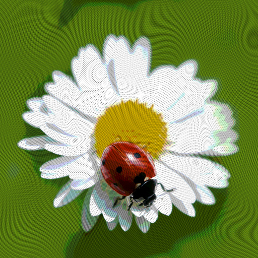 Variation 7