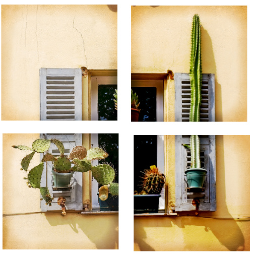 Variation 6