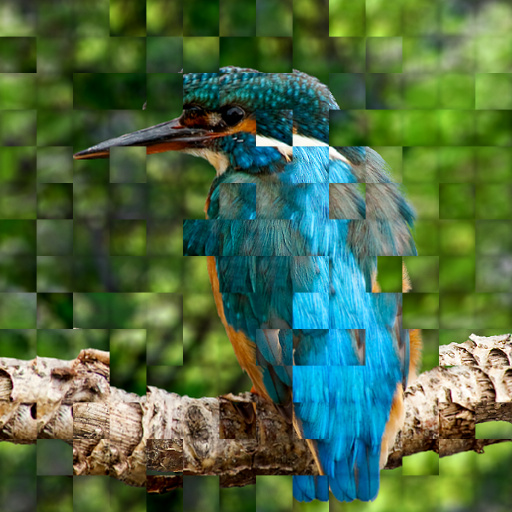 Hockney Style Collage (Effect)