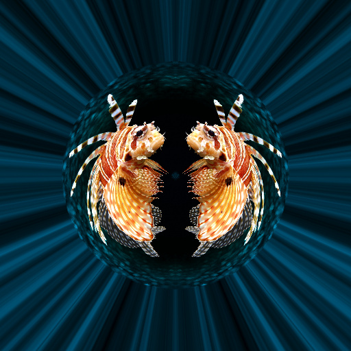Variation 4