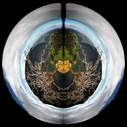 Polar Distort (Effect)