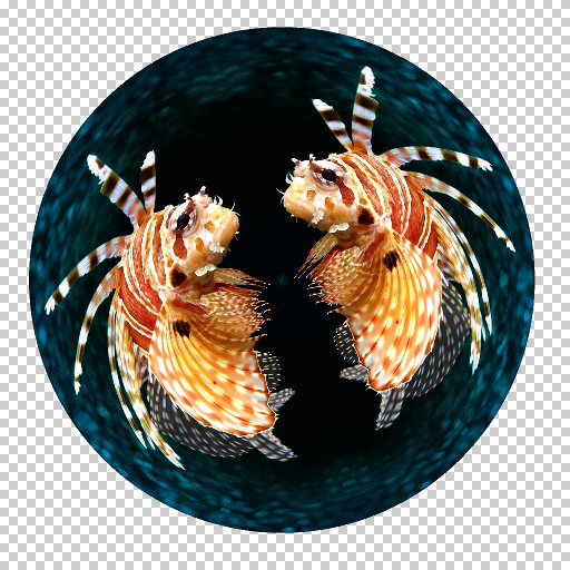 Variation 2