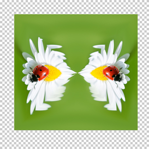 Variation 5