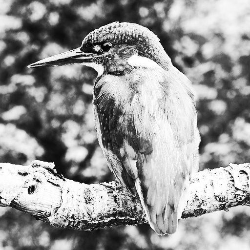 Pure Silver B&W (Effect)