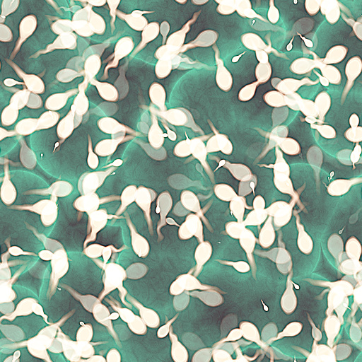 Variation 3