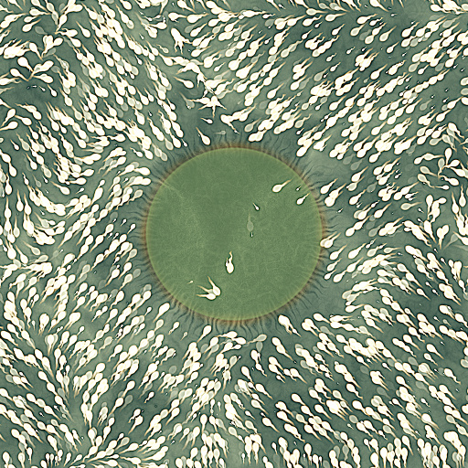 Variation 4