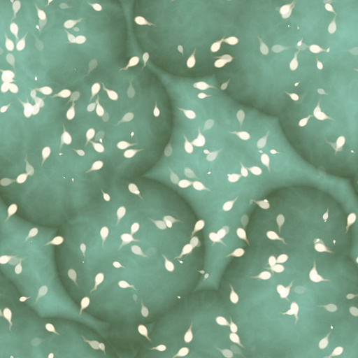 Variation 5