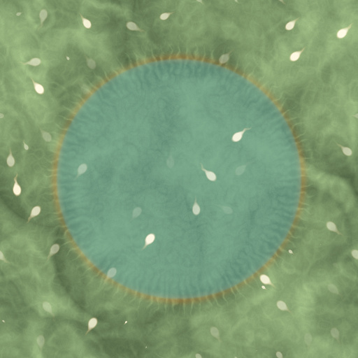 Variation 6