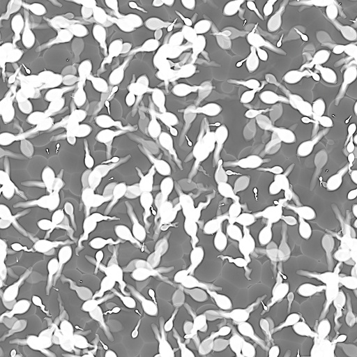 Variation 8