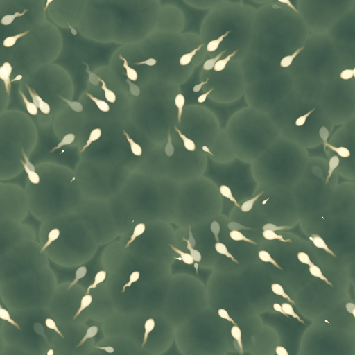 Little swimmers (Texture)