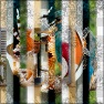 Images Bands Collage