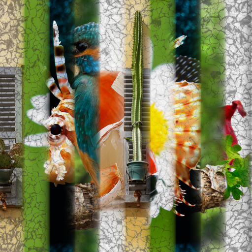 Variation 4