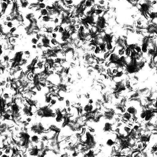 Ambient Occlusion Map